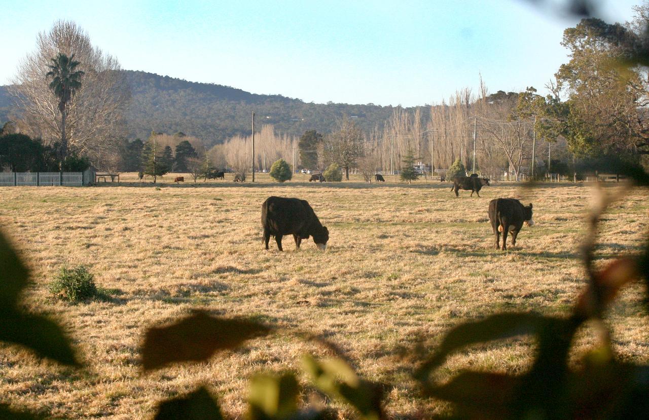 Moruya Holiday Park Εξωτερικό φωτογραφία